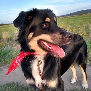 Meet your Posher, Emma